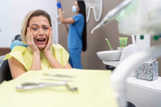 Best Chipped Tooth Repair Near Me  in Park Falls, WI